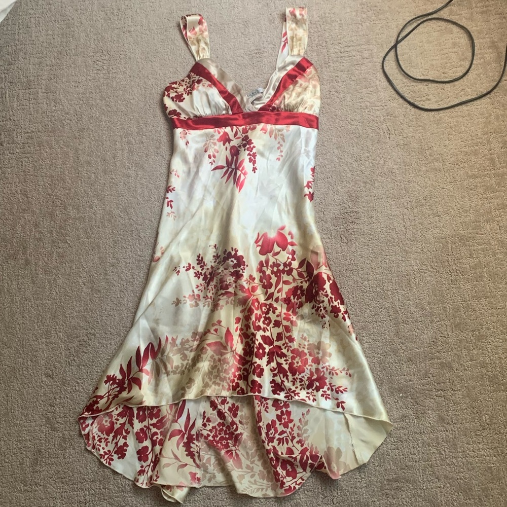 Vintage la belle dress